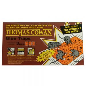 Glue Traps